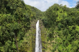 الجزيرة الكبيرة، هاواي: تأجير بولاريس سلينغشوت