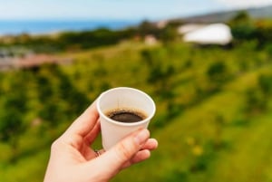 Big Island, Hawaii: Volcano and Stargazing Tour with Dinner