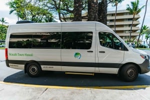 Big Island, Hawaii: Volcano and Stargazing Tour with Dinner