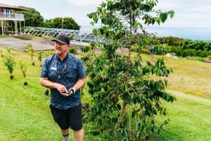 Big Island, Hawaii: Volcano and Stargazing Tour with Dinner