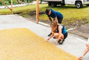 Big Island, Hawaii: Volcano and Stargazing Tour with Dinner