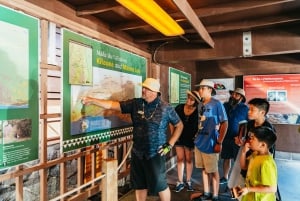 Big Island, Hawaii: Volcano and Stargazing Tour with Dinner