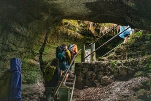 Big Island: Escursione guidata al Parco Nazionale dei Vulcani delle Hawaii
