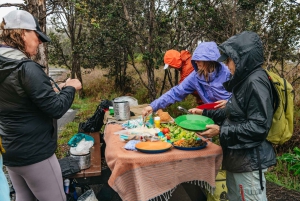 Big Island: Escursione guidata al Parco Nazionale dei Vulcani delle Hawaii