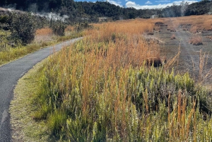 Big Island: Escursione guidata al Parco Nazionale dei Vulcani delle Hawaii