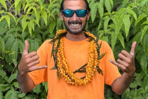 Big Island: vivencia a cultura havaiana no Ohana Ranch