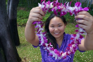 Big Island: Hilo Airport Honeymoon Lei Greeting