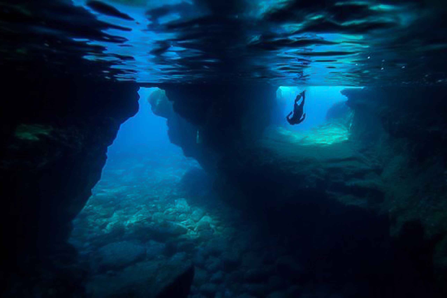 Isola Grande: Baia di Kealakekua, tour del Capitano Cook e della fauna marina