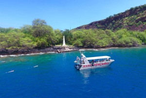 Isola Grande: Baia di Kealakekua, tour del Capitano Cook e della fauna marina