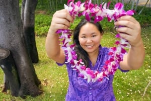 Big Island: Kona Airport Honeymoon Lei-hilsen på bryllupsreisen