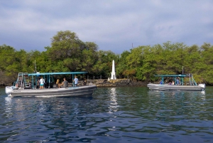 Big Island: Kona Half-Day Boat Tour with Snorkeling & Lunch