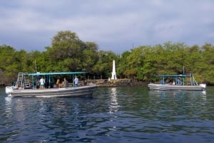 Big Island: Kona halvdagsbåttur med snorkling och lunch