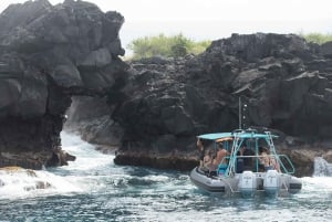 Big Island: Kona-boottocht van een halve dag met snorkelen en lunch