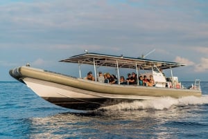 Grande île : Kona Raft and Snorkel Adventure