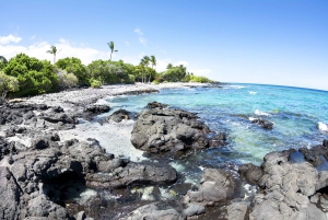 Grande île : Excursion en catamaran de luxe le long de la côte de Kona