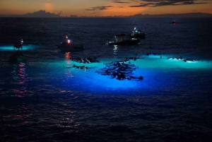 Kailua-Kona: Gita notturna in barca per l'osservazione delle mante