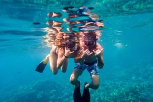 Groot eiland: Snorkeltocht in de ochtend naar Captain Cook's Monument