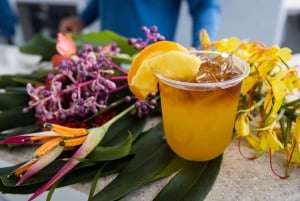 Big Island: Schnorchelausflug zum Captain Cook's Monument am Morgen