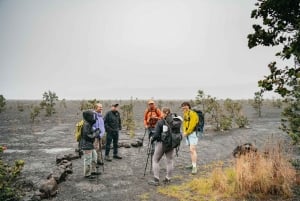 Big Island: Udforsk en aktiv vulkan på en guidet vandretur
