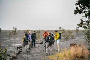 Big Island: Utforsk en aktiv vulkan på en guidet fottur