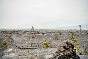 Isola Grande: Esplora un vulcano attivo durante un'escursione guidata