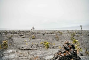 Big Island: Utforsk en aktiv vulkan på en guidet fottur