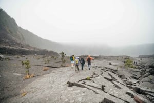 Big Island: Poznaj aktywny wulkan podczas wycieczki z przewodnikiem