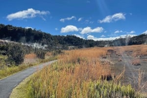 Isola Grande: Esplora un vulcano attivo durante un'escursione guidata