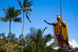 Big Island Kohala Coast & Pololu Lookout Slingshot Tour