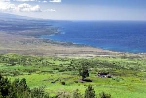 Big Island Kohala Coast & Pololu Lookout Slingshot Tour