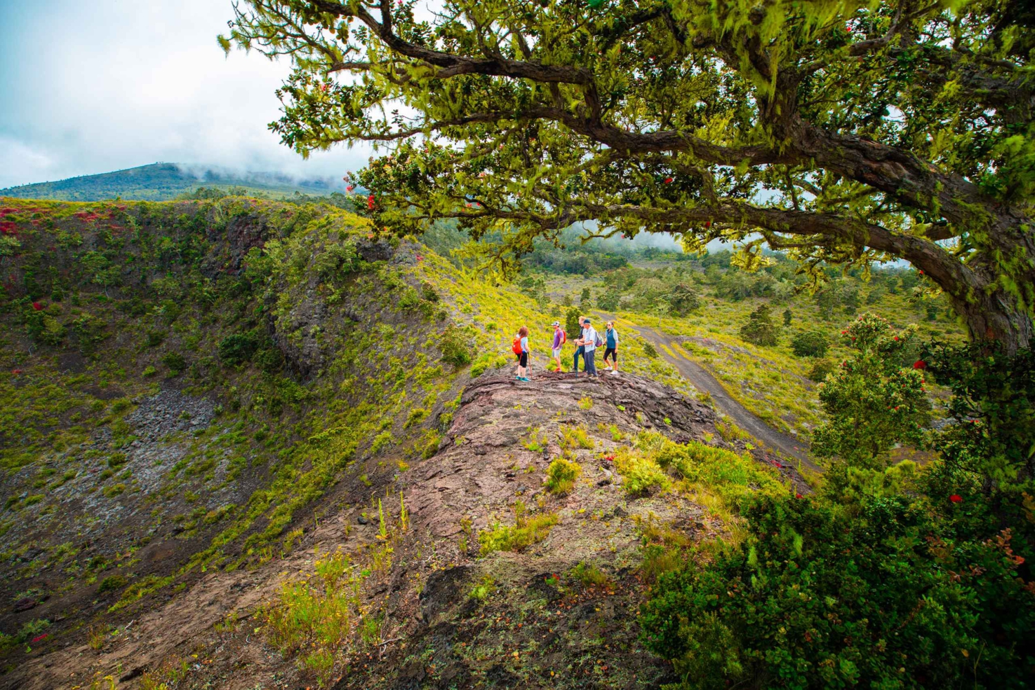Big Island: Off the Beaten Path Volcano Crater Hike