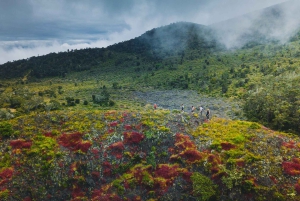 Big Island: Off the Beaten Path Volcano Crater Hike