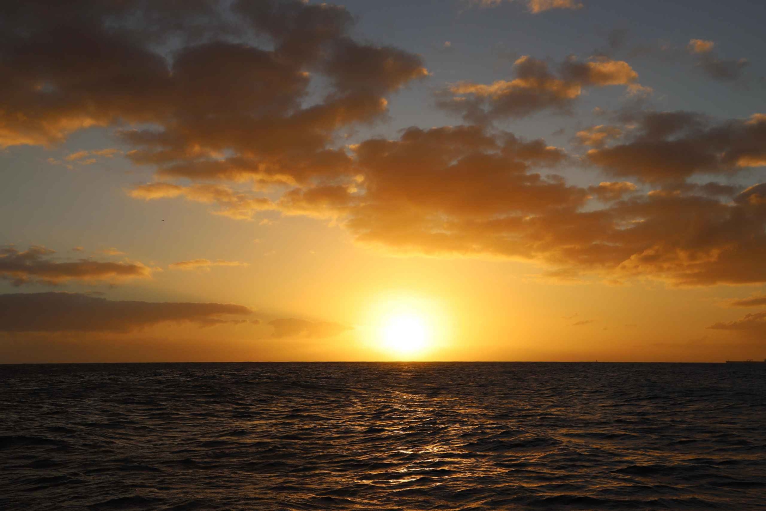 Big Island: romantische zonsondergangvaart vanuit Waikoloa