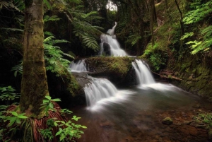 Big Island: Small Group Waterfalls Adventure