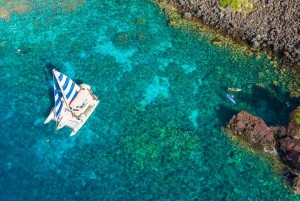 Big Island: Snorkel with Manta Rays - Manta Guarantee
