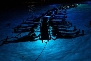 Den store ø: Snorkel med Manta Rays - Manta Guarantee