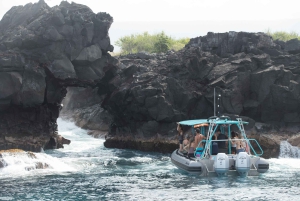 Big Island: Snorkling i South Kona og utforsking av kystlinjen