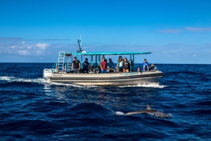 Big Island: South Kona Snorkeling and Coastline Exploration