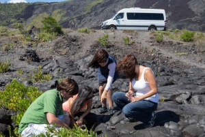 Big Island Twilight Volcano and Stargazing Tour