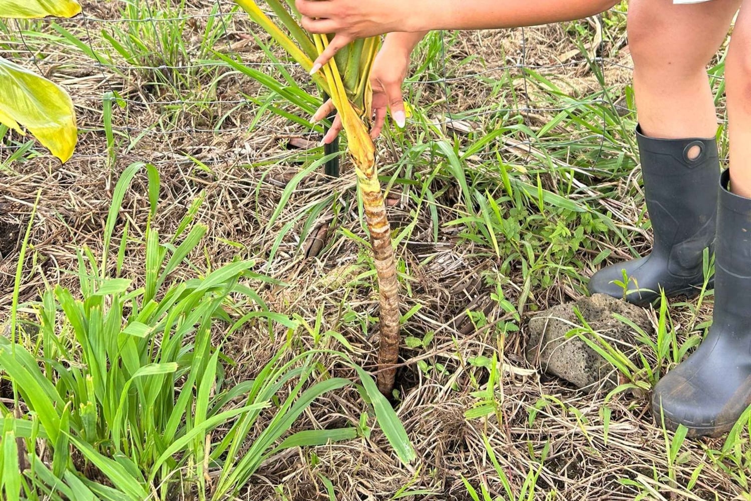 Visite en véhicule tout-terrain d'une ferme près du parc national des volcans