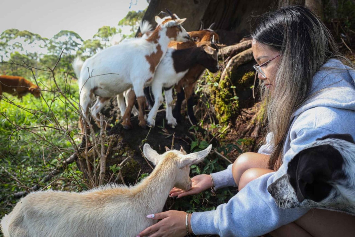 Visite en véhicule tout-terrain d'une ferme près du parc national des volcans