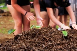 Visite en véhicule tout-terrain d'une ferme près du parc national des volcans