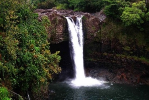 Big Island Volcano Adventure: Full-Day from Hilo