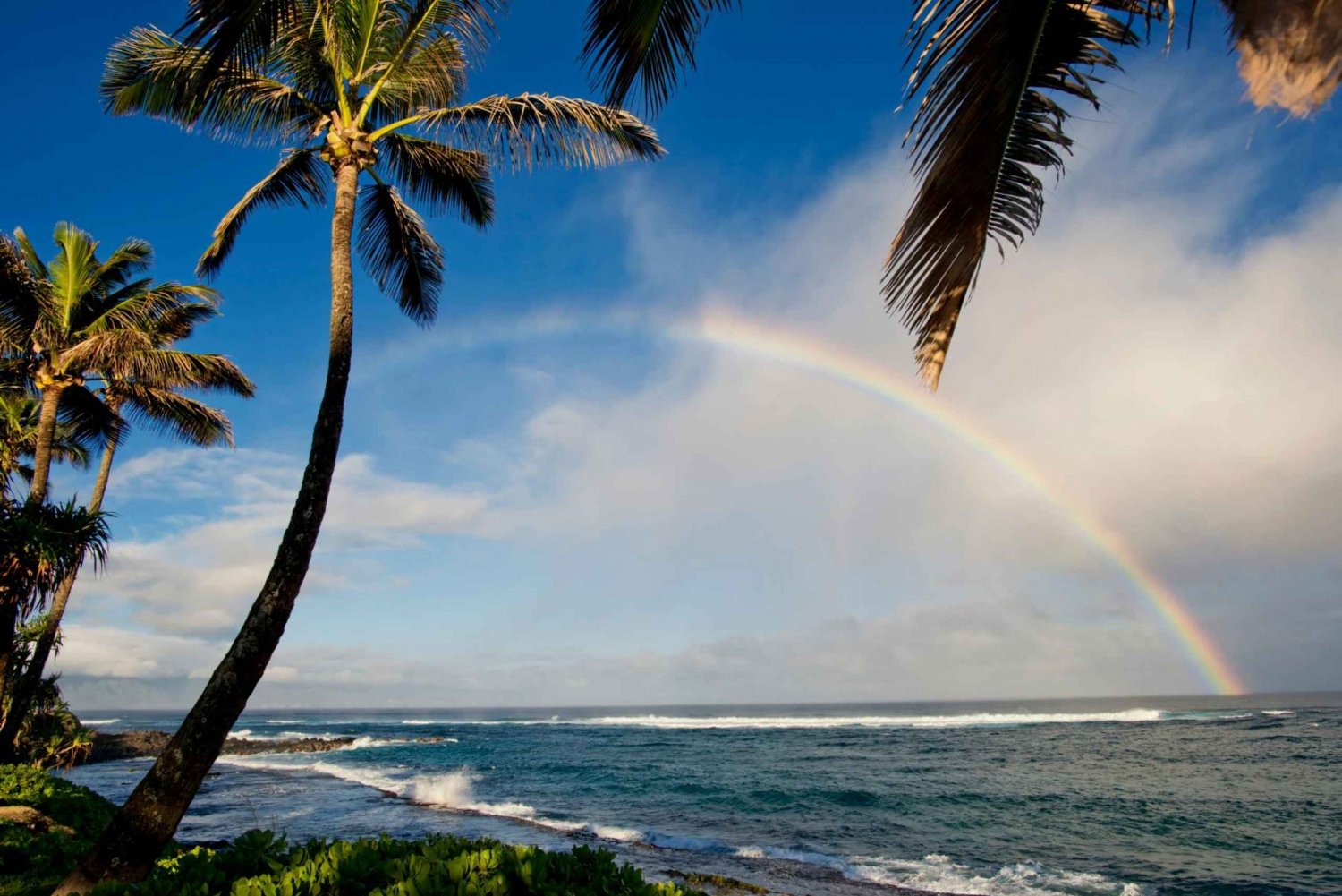 Big Island: Vulkan, svart sandstrand, fossefall, med lunsj