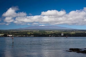 Big Island: Vulkan, svart sandstrand, fossefall, med lunsj