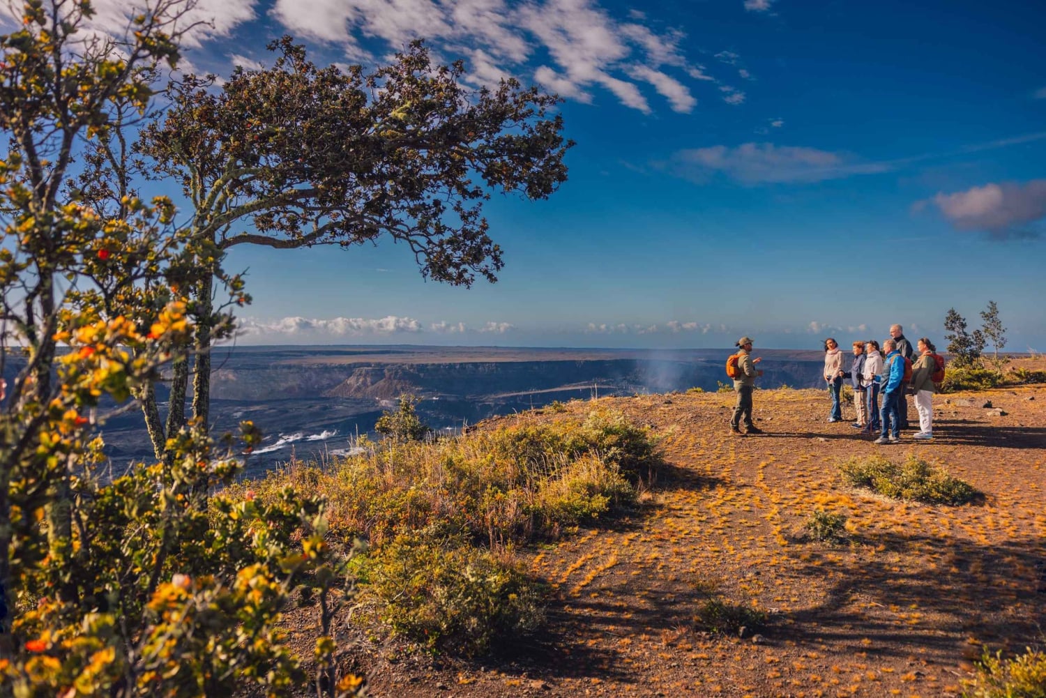 Big Island: Volcano, Chocolate & Waterfall Adventure