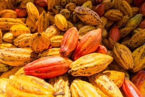 Big Island: Volcano, Chocolate & Waterfall Adventure