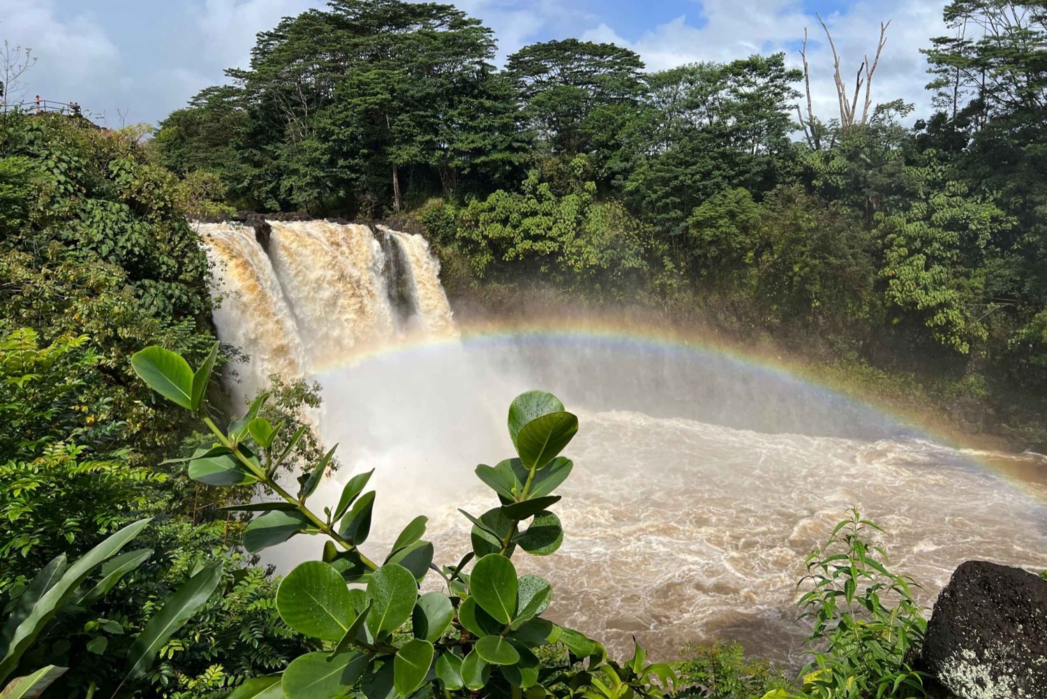 Big Island: excursão em grupo a vulcões, cascatas e café