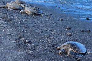 Big Island: excursão em grupo a vulcões, cascatas e café