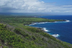 Big Island: excursão em grupo a vulcões, cascatas e café